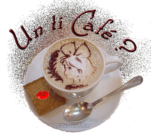 Afficher l'image d'origine