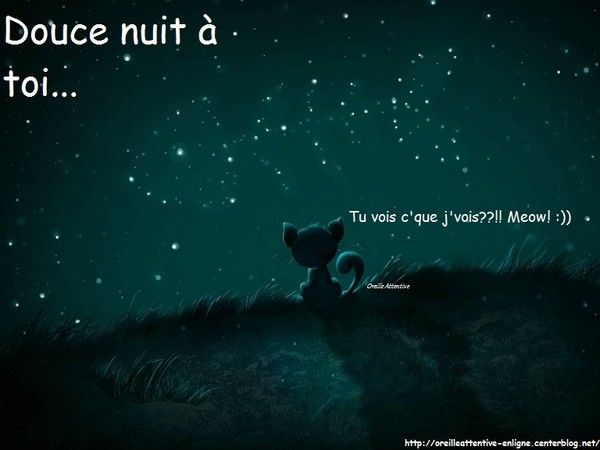 Arrête de dire Bonne Nuit en français !😴 Enrichis ton vocabulaire ! 😉 